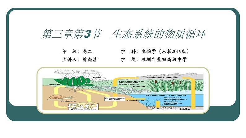 高中生物 选择性必修二 生态系统的物质循环 课件第1页
