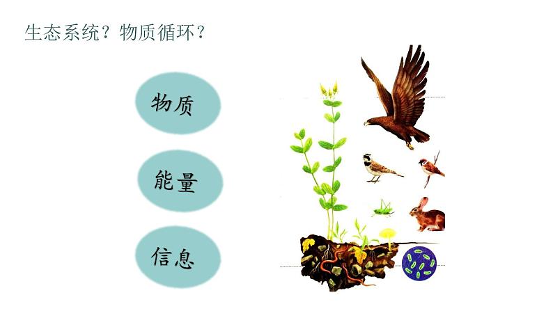 高中生物 选择性必修二 生态系统的物质循环 课件第2页