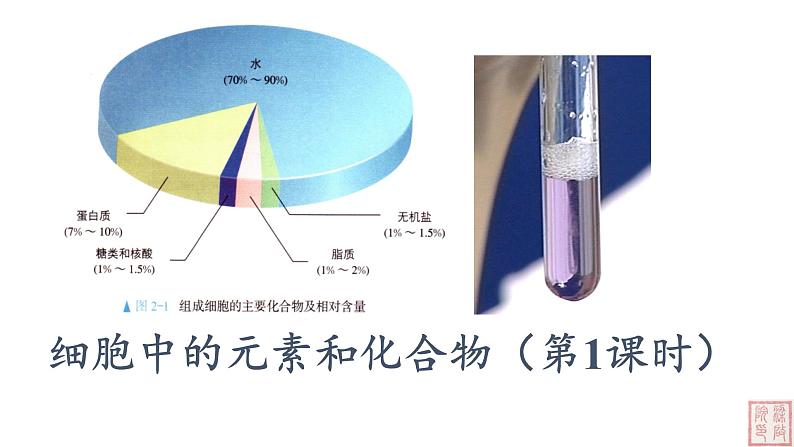 2.1+细胞中的元素和化合物(第1课时)课件(人教版2019必修1)01