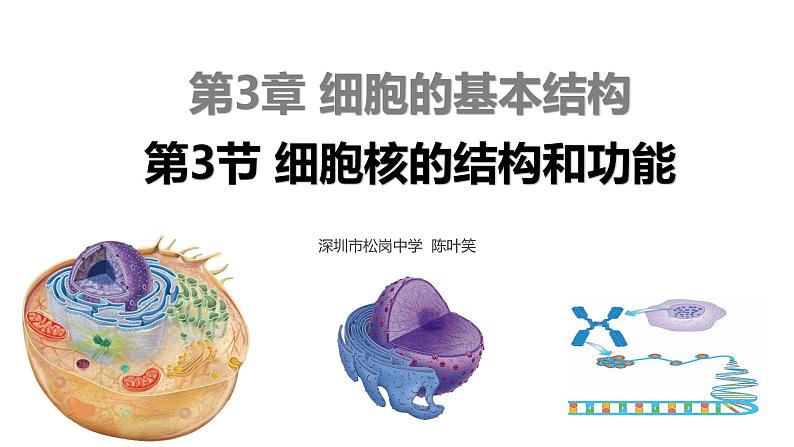 高中生物 细胞核的结构和功能 课件第1页