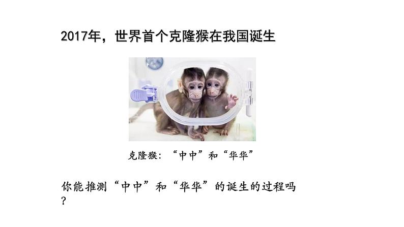 高中生物 细胞核的结构和功能 课件第2页