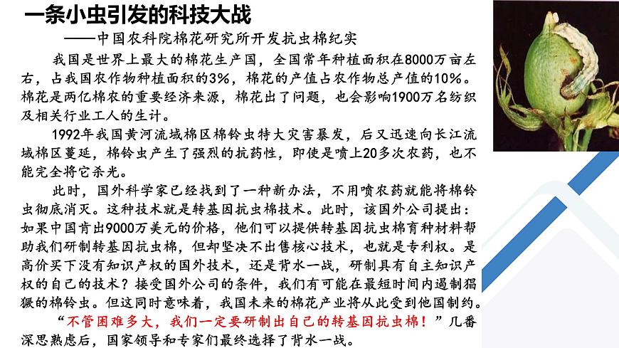 高中生物 重組DNA技術(shù)的基本工具 課件第4頁