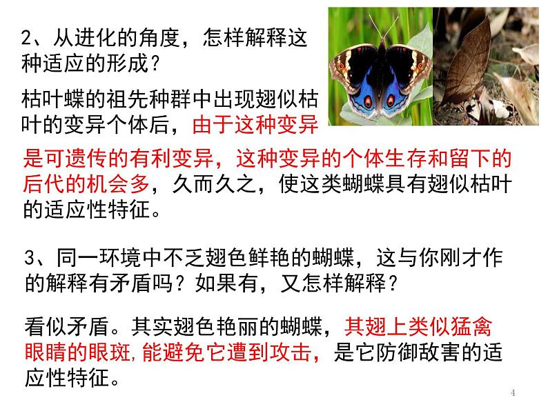 高中生物 人教版 必修二 自然选择与适应的形成 课件第4页