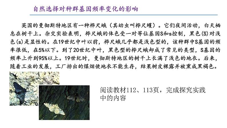 高中生物 种群基因组成的变化与物种的形成(下) 课件04