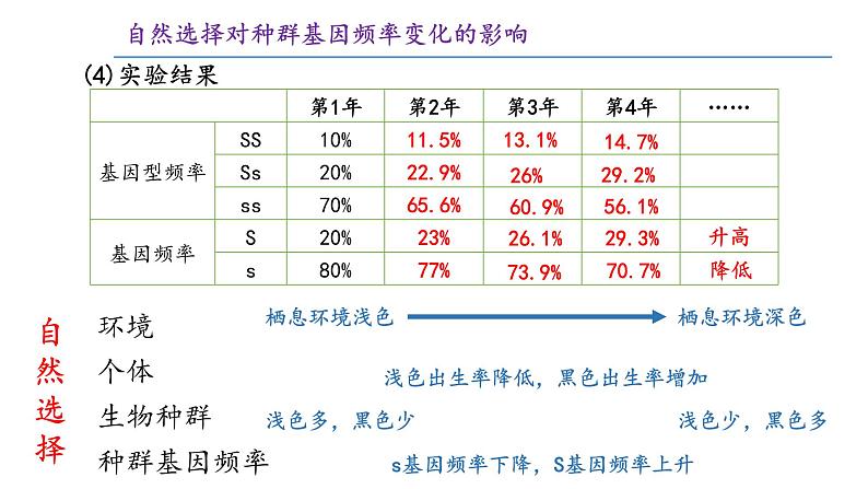 高中生物 种群基因组成的变化与物种的形成(下) 课件07
