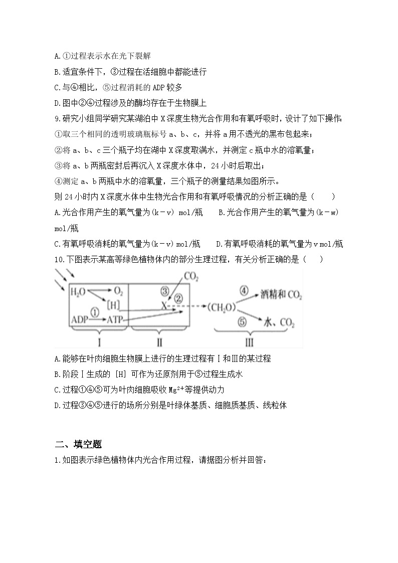 5.4《光合作用与能量转化》课件+教案+练习03