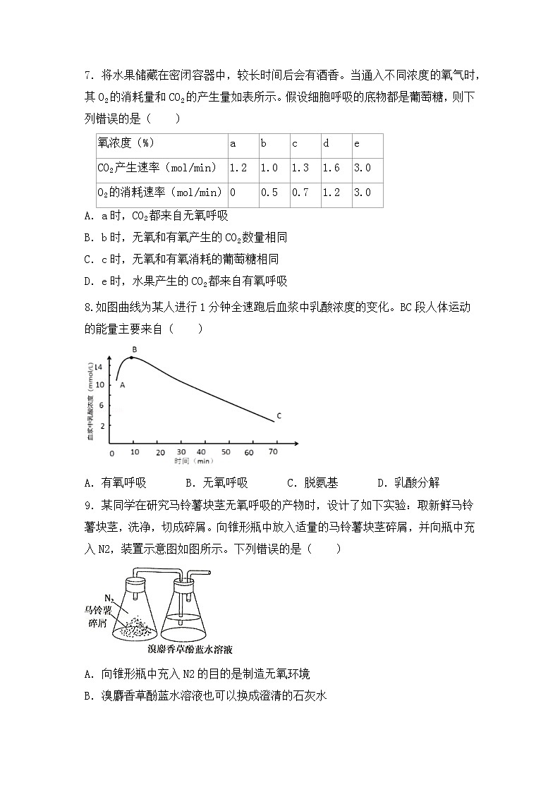 5.3《细胞呼吸的原理和应用》 教案练习课件02