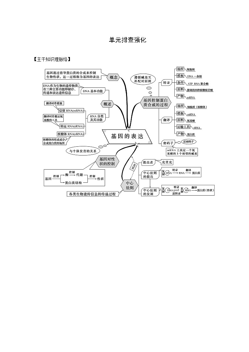 人教版高中生物必修2单元排查强化04练习含答案第1页
