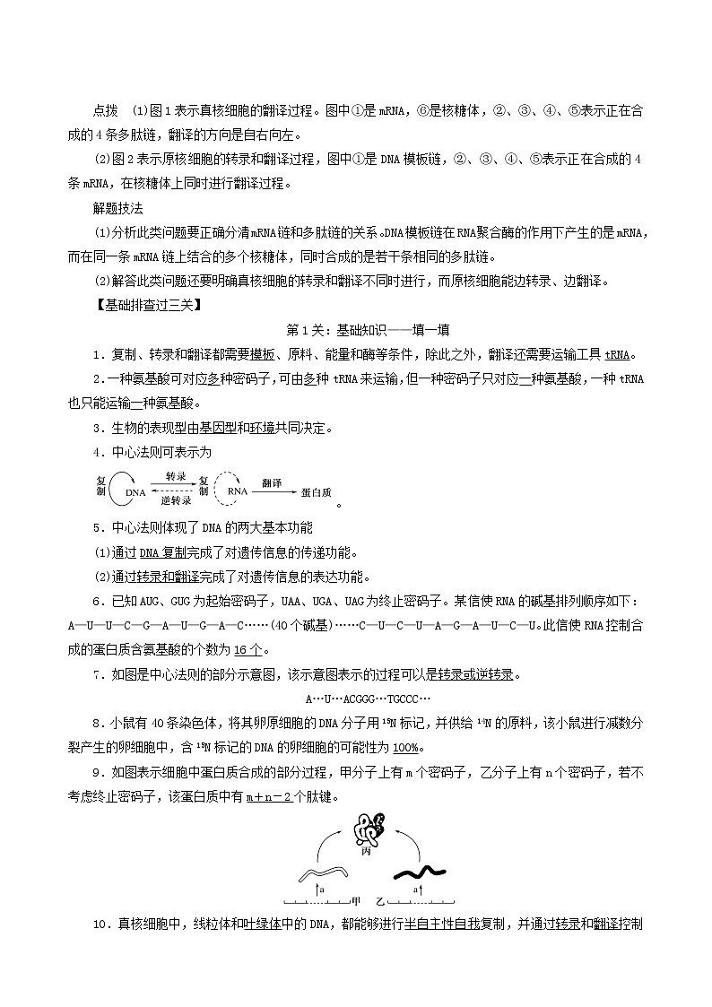 人教版高中生物必修2单元排查强化04练习含答案第3页