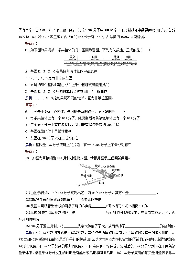 人教版高中生物必修2课后分层检测案11dna的复制基因是有遗传效应的dna片段含答案第3页