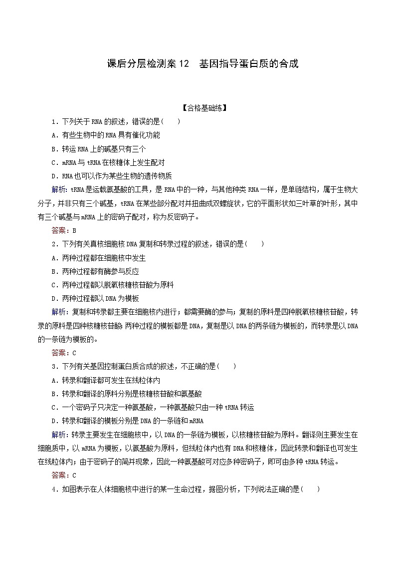 人教版高中生物必修2課后分層檢測案12基因指導(dǎo)蛋白質(zhì)的合成含答案第1頁