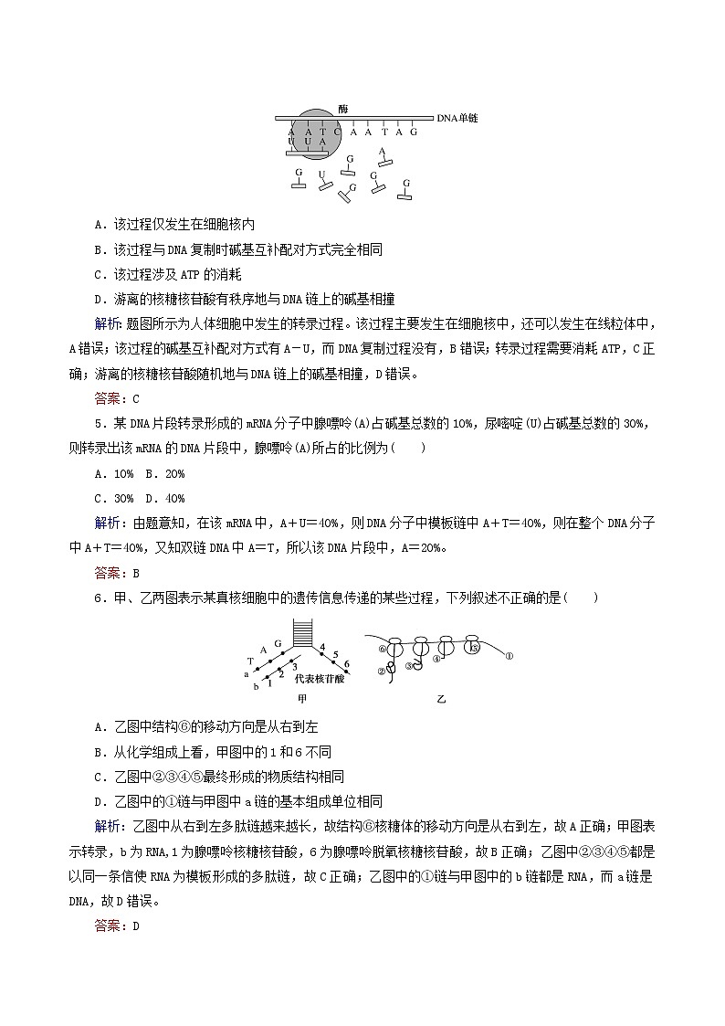 人教版高中生物必修2課后分層檢測案12基因指導(dǎo)蛋白質(zhì)的合成含答案第2頁