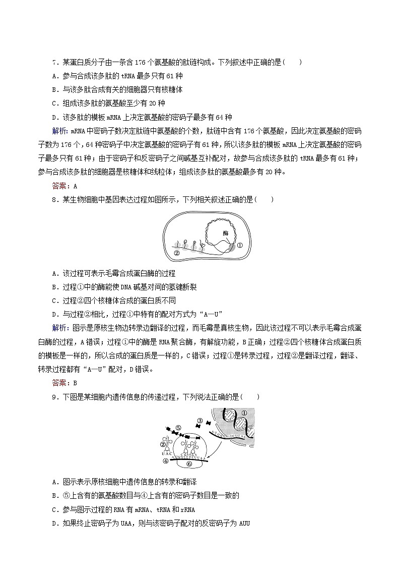 人教版高中生物必修2課后分層檢測案12基因指導(dǎo)蛋白質(zhì)的合成含答案第3頁