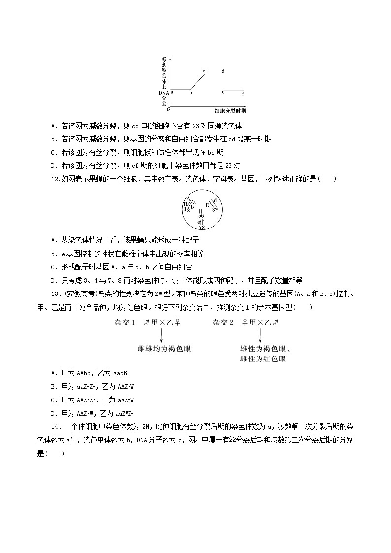 人教版高中生物必修2阶段质量检测2基因和染色体的关系含答案03
