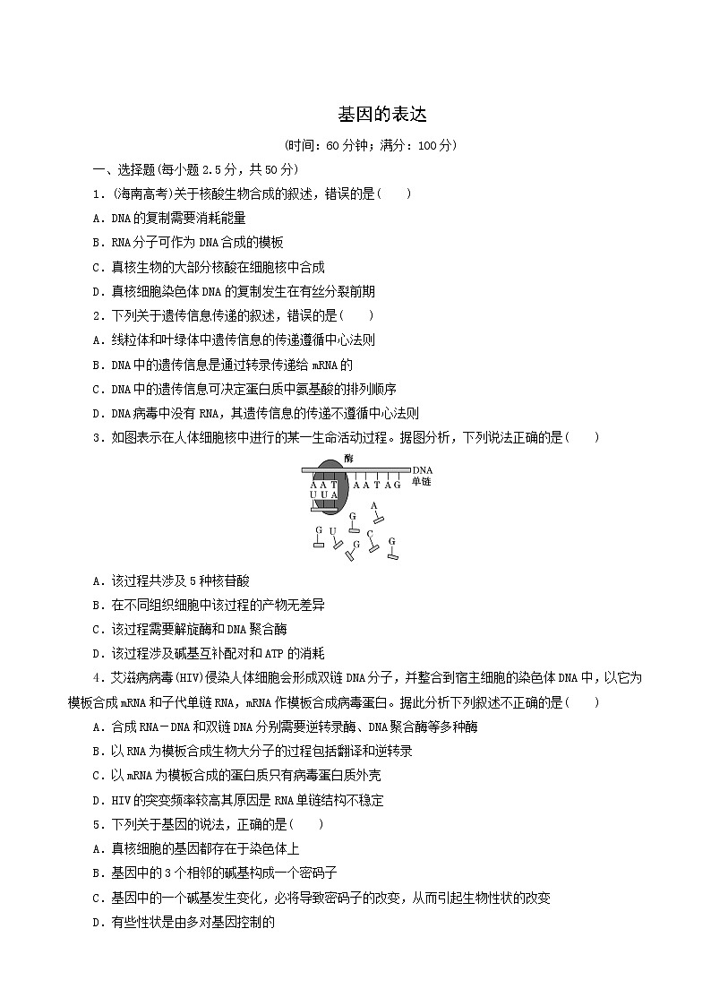 人教版高中生物必修2阶段质量检测4基因的表达含答案01