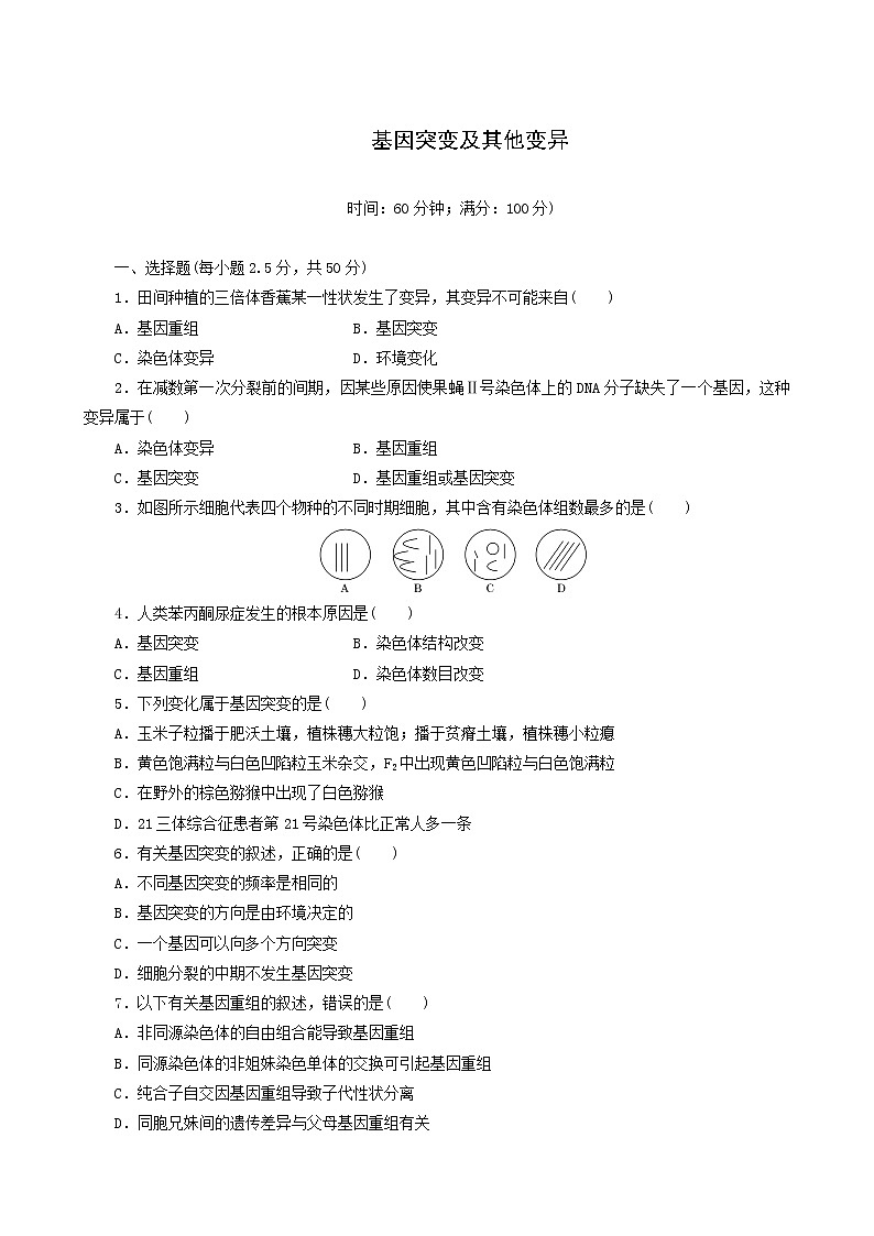 人教版高中生物必修2阶段质量检测5基因突变及其他变异含答案第1页