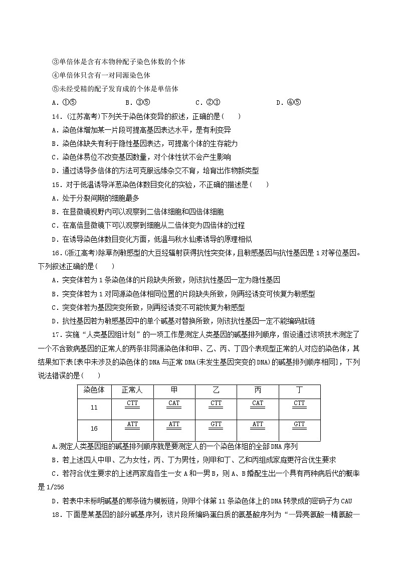 人教版高中生物必修2阶段质量检测5基因突变及其他变异含答案第3页