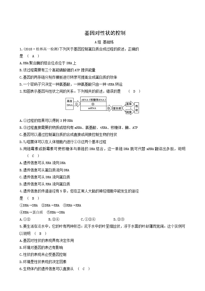 人教版高中生物必修2分层训练4.2基因对性状的控制含答案第1页