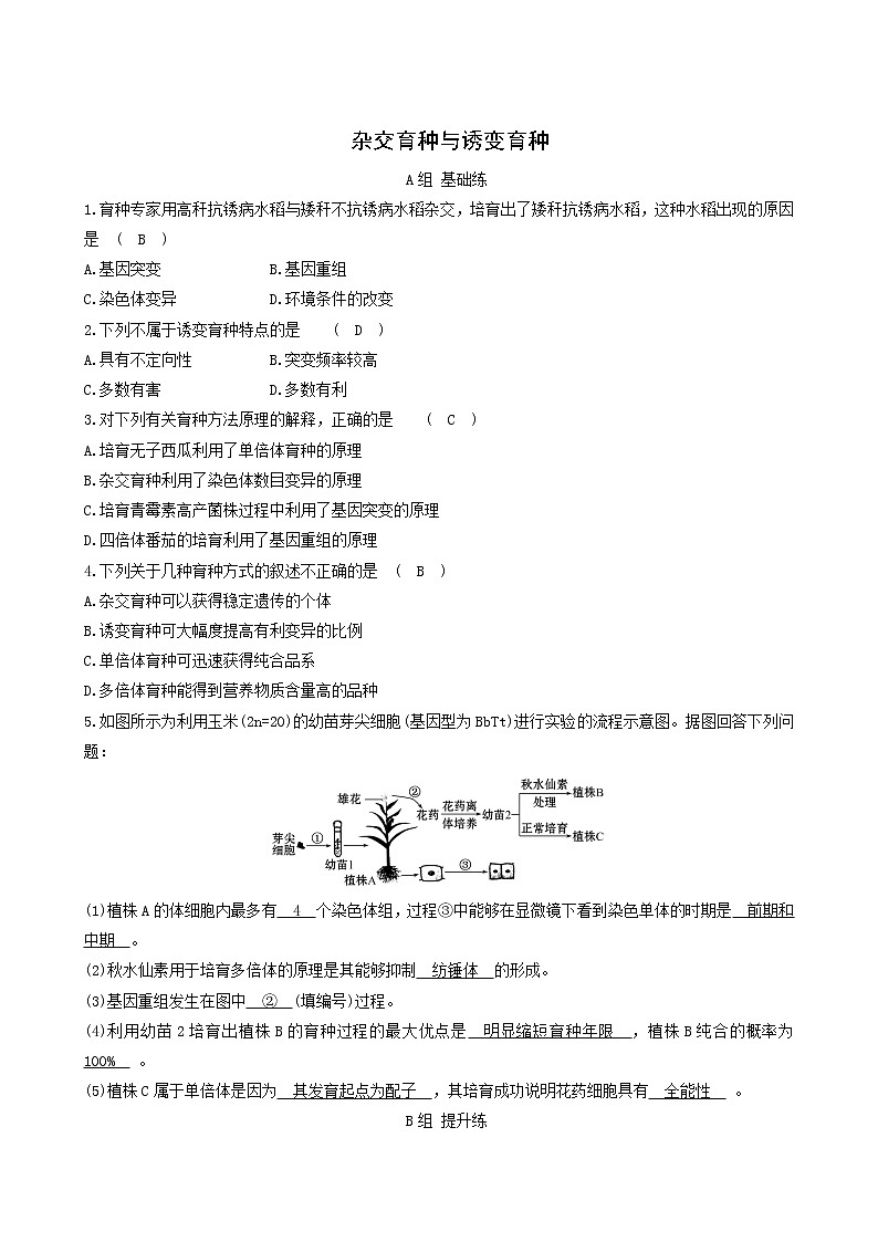人教版高中生物必修2分层训练6.1杂交育种与诱变育种含答案01