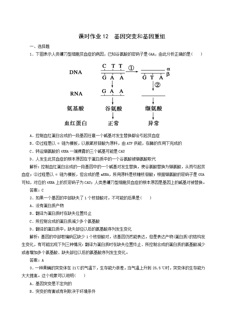 人教版高中生物必修2課時(shí)作業(yè)12基因突變和基因重組含答案第1頁