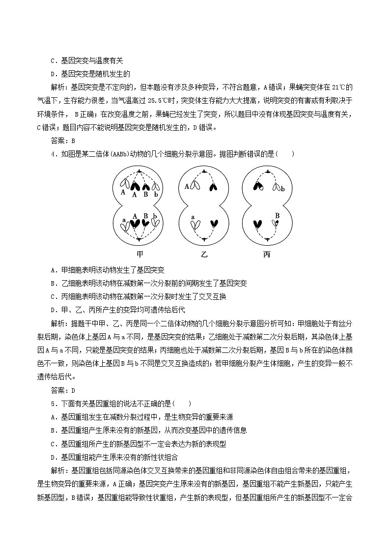 人教版高中生物必修2課時(shí)作業(yè)12基因突變和基因重組含答案第2頁