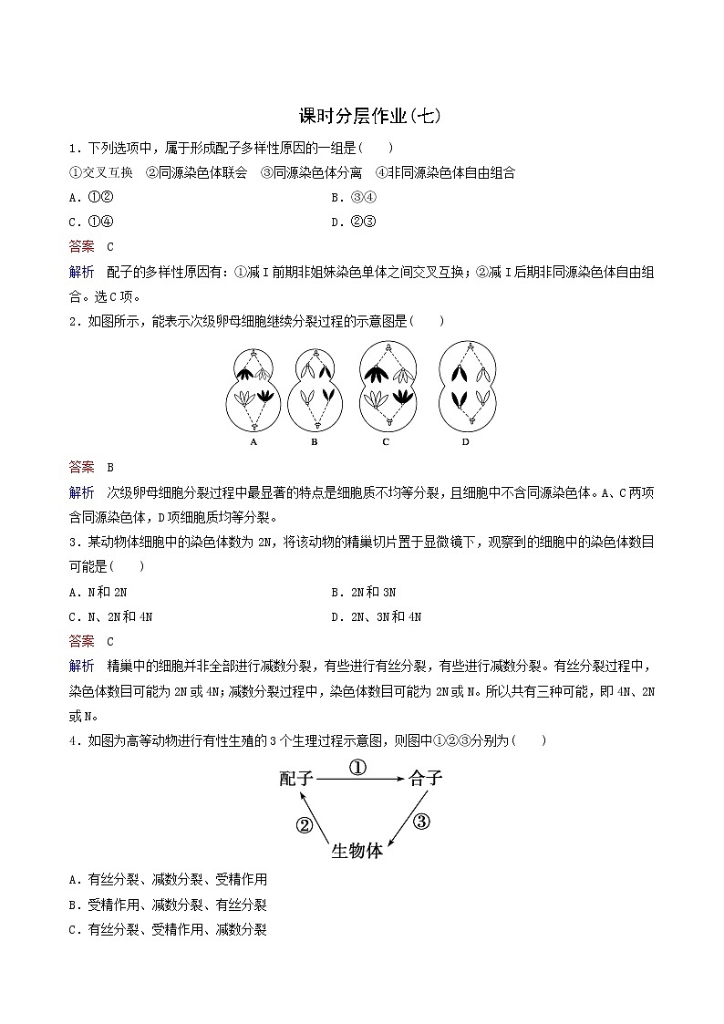 人教版高中生物必修2同步作業(yè)7減數(shù)分裂的觀察受精作用含答案第1頁