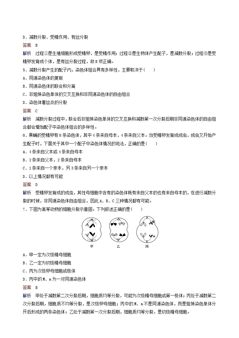 人教版高中生物必修2同步作業(yè)7減數(shù)分裂的觀察受精作用含答案第2頁