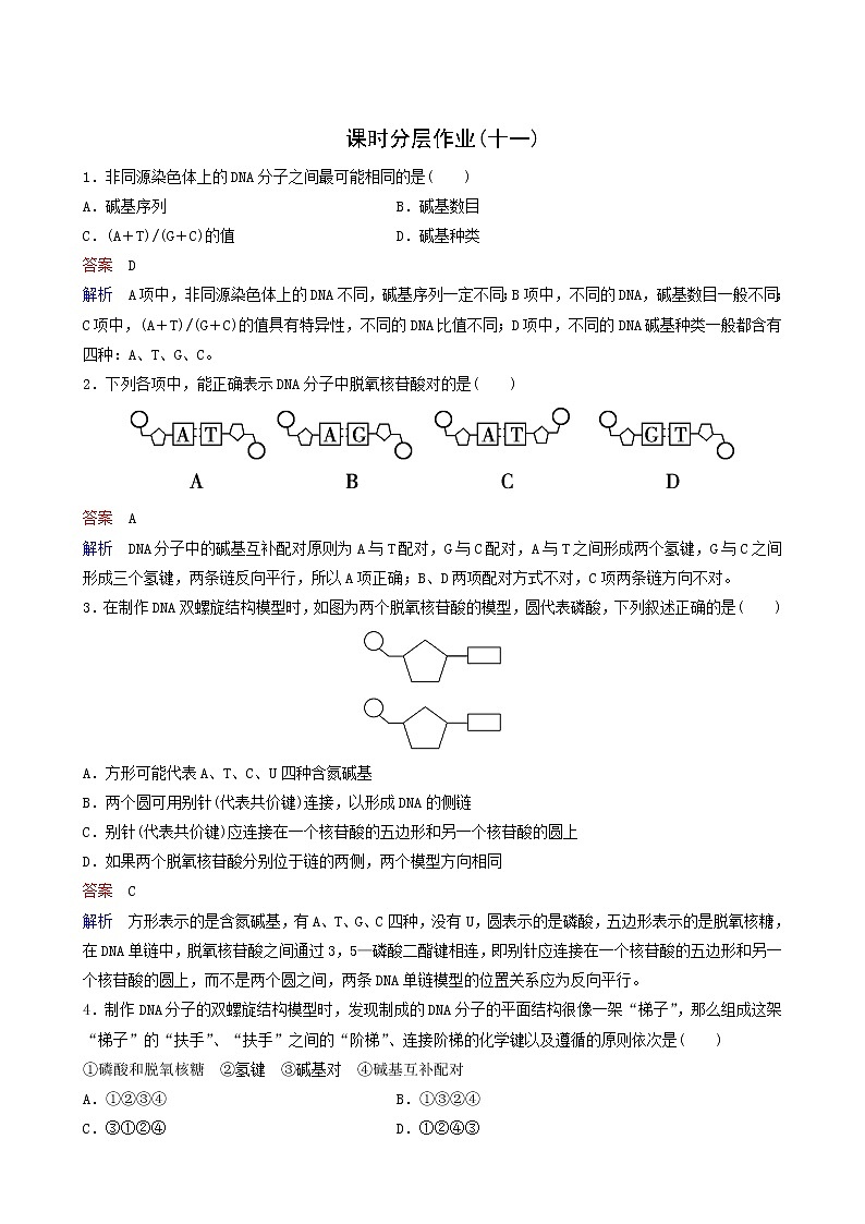 人教版高中生物必修2同步作业11dna分子的结构含答案01