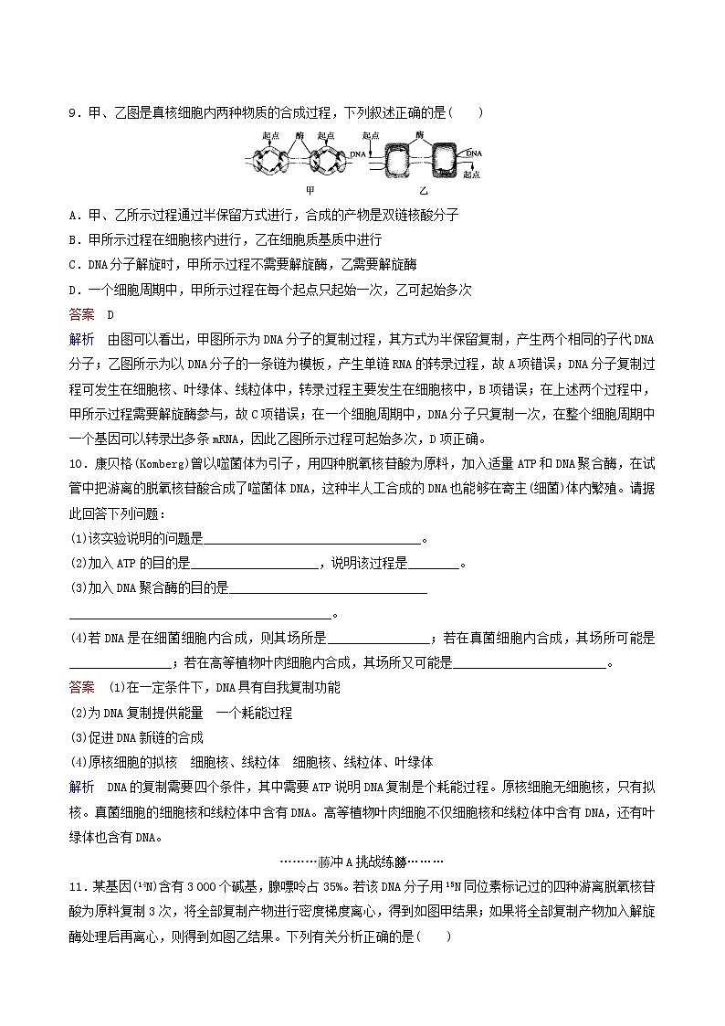 人教版高中生物必修2同步作业12dna的复制含答案第3页