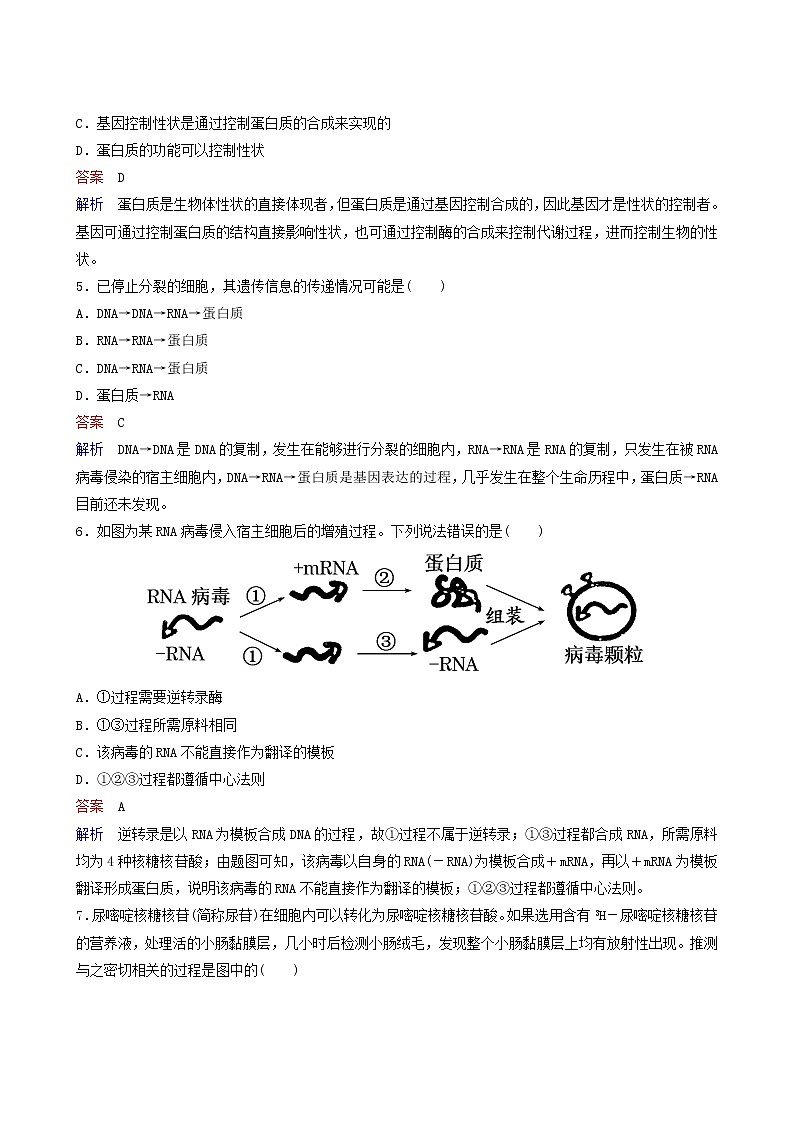 人教版高中生物必修2同步作业15基因对性状的控制含答案第2页