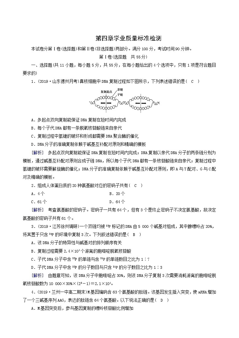人教版高中生物必修2第4章基因的表達(dá)學(xué)業(yè)質(zhì)量標(biāo)準(zhǔn)檢測(cè)含答案第1頁(yè)