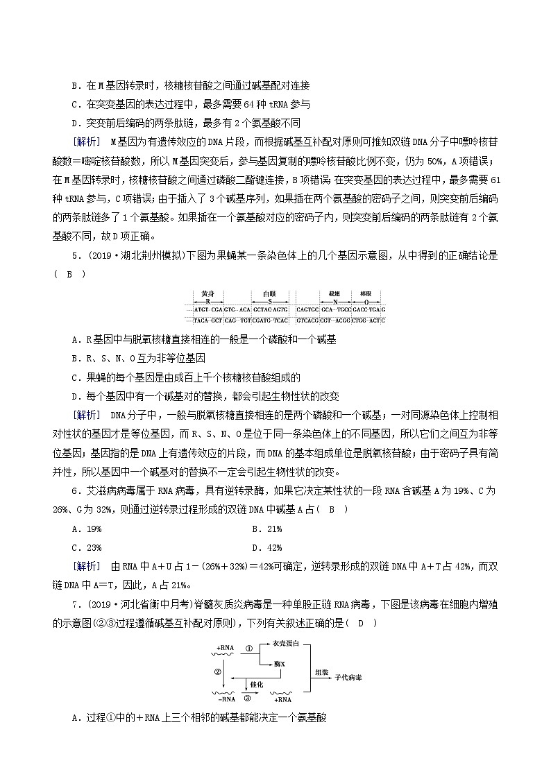 人教版高中生物必修2第4章基因的表達(dá)學(xué)業(yè)質(zhì)量標(biāo)準(zhǔn)檢測(cè)含答案第2頁(yè)