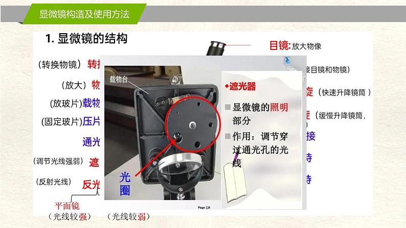 1.2 细胞的多样性和统一性第3页