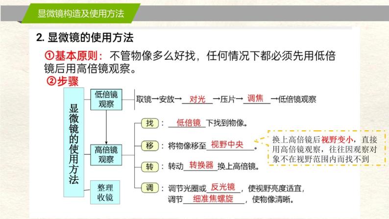 1.2 细胞的多样性和统一性 课件04