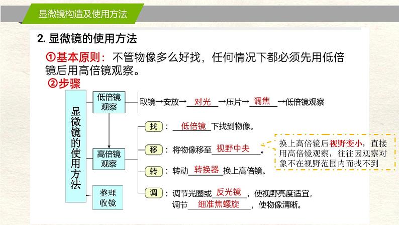 1.2 细胞的多样性和统一性第4页