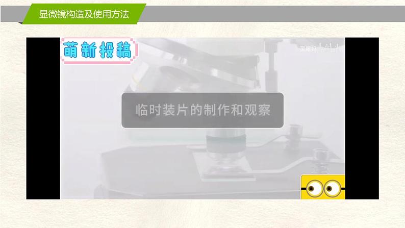 1.2 细胞的多样性和统一性第5页