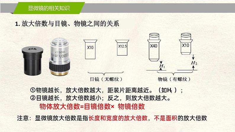 1.2 细胞的多样性和统一性第6页