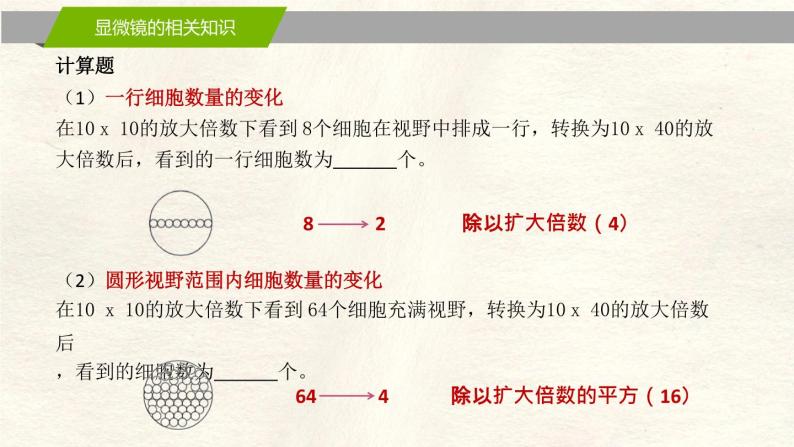 1.2 细胞的多样性和统一性 课件07