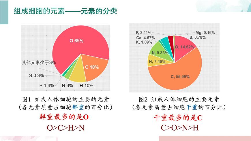 2.1 細胞中的元素和化合物第8頁