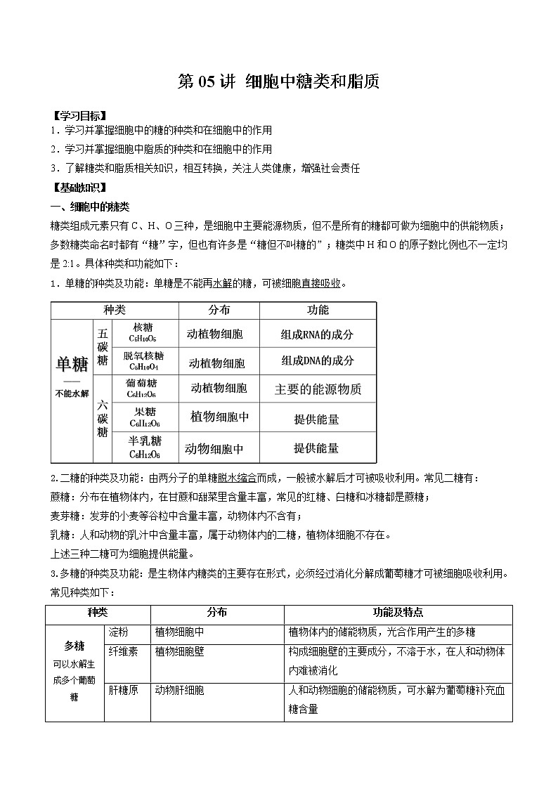 第05讲 细胞中的糖类和脂质2022年新高一生物暑假精品课程(人教版2019必修1)(解析版)第1页