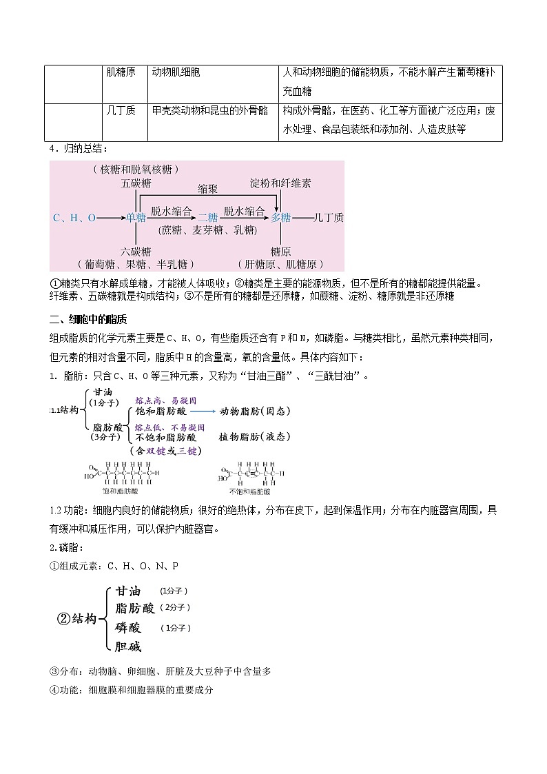 第05讲 细胞中的糖类和脂质2022年新高一生物暑假精品课程(人教版2019必修1)(解析版)第2页