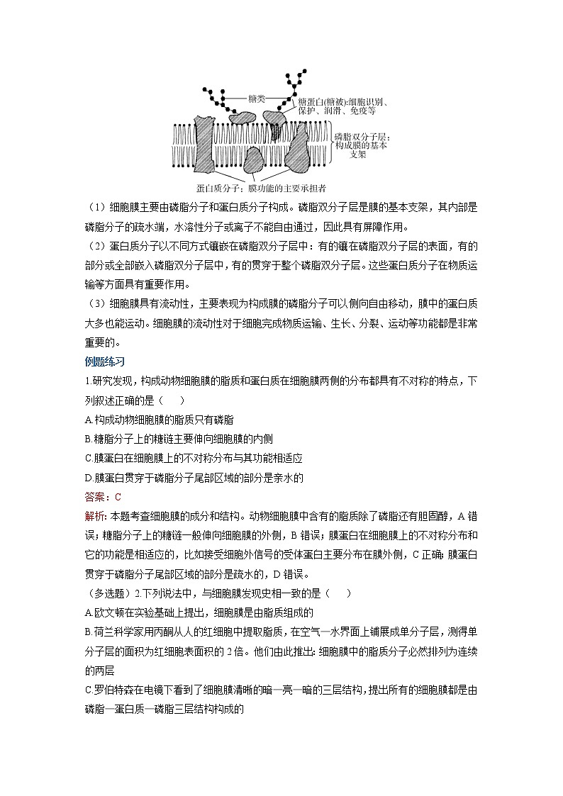 高考生物一轮复习:第一单元 细胞的分子组成和结构(5)细胞膜和细胞核(超级讲义)第3页