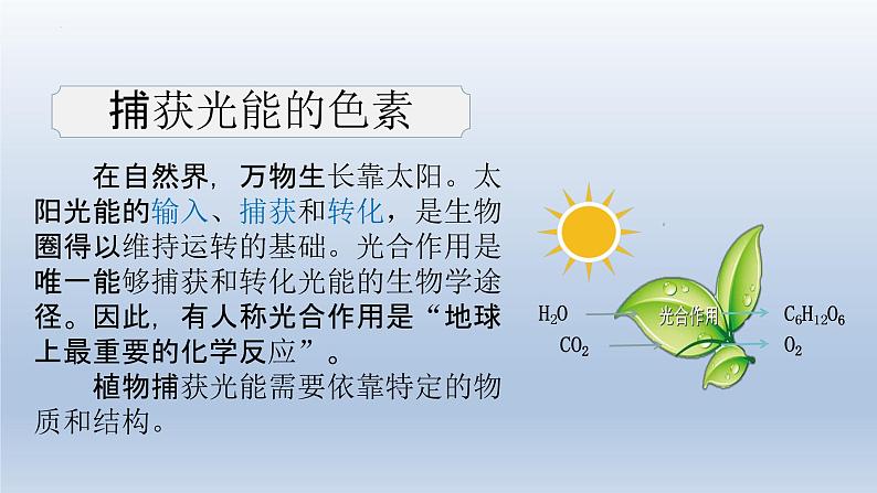 5.4光合作用与能量转化(第一课时)--高一上学期生物人教版(2019)必修1第4页