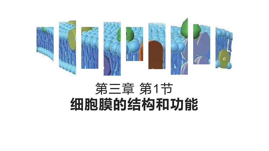 3.1細(xì)胞膜的結(jié)構(gòu)和功能課件--高一上學(xué)期生物人教版必修1第1頁(yè)