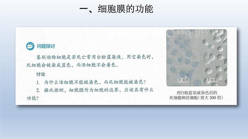 3.1细胞膜的结构和功能(第一课时 )课件--高一上学期生物人教版必修1第3页