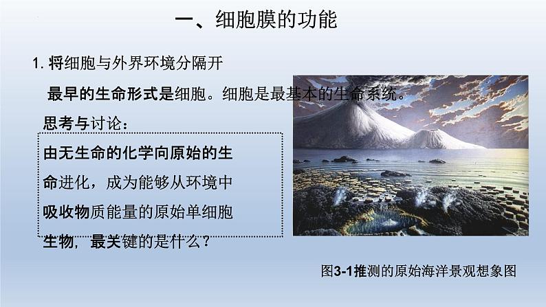 3.1细胞膜的结构和功能(第一课时 )课件--高一上学期生物人教版必修1第4页