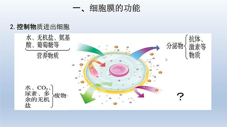 3.1细胞膜的结构和功能(第一课时 )课件--高一上学期生物人教版必修1第5页