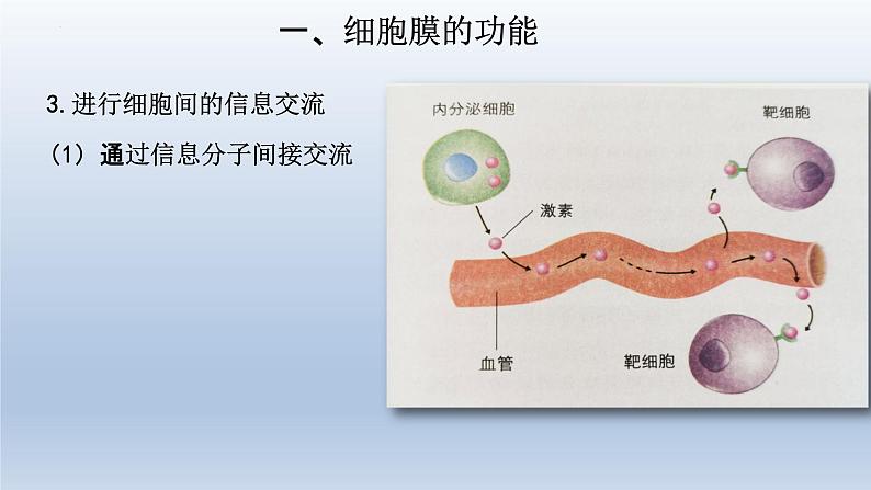 3.1细胞膜的结构和功能(第一课时 )课件--高一上学期生物人教版必修1第6页