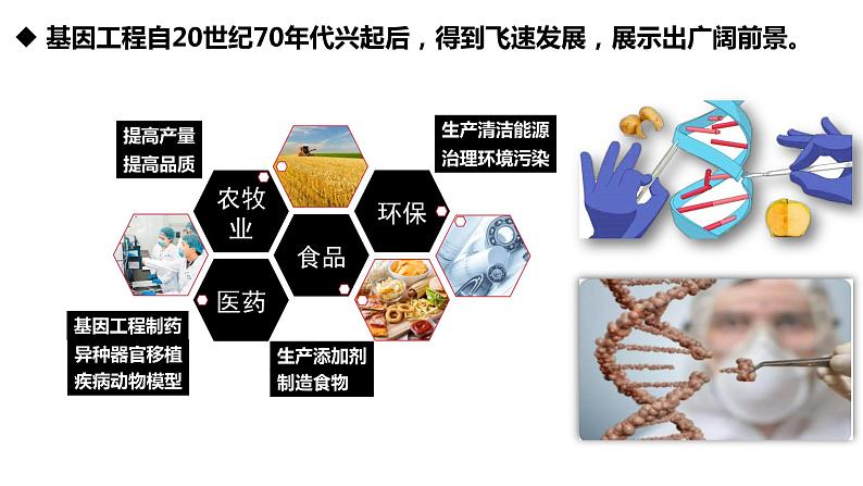 高三一轮复习生物:3.3节 基因工程的应用课件第4页