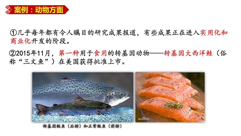 高三一轮复习生物:3.3节 基因工程的应用课件第6页